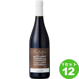 Cantodoro カントドーロ 750ml ×12本 イタリア/シチーリア ワイン【送料無料※一部地域は除く】