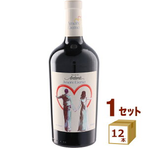 �A���[�� �G�e���m �I�[�K�j�b�N ���b�\ Amoreeterno Vino Biologico ROSSO �ԃ��C�� �C�^���A/���F�l�g 750ml ×12�{�i��) ���C���y�����������ꕔ�n��͏����z