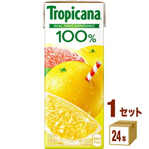 L gsJ[i 100 O[vt[c (LLX) 250 ×24{×1P[X (24{) yꕔn͏z