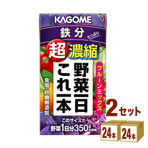 y200~N[|&vGg[SiP5{z JS ؈{ Zk S iv[~bNX) 125 ×24{×2P[X (48{) yꕔn͏z