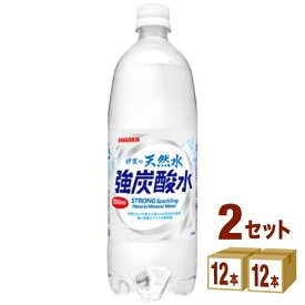 【5月25日限定！最大100％ポイントバック】サンガリア 伊賀の天然水 強炭酸水 1L 1000ml×12本×2ケース（24本） 飲料【送料無料※一部地域は除く】伊賀 強炭酸水 1L 1L 天然水 24本