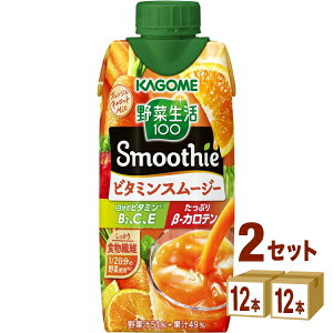JS ؐ100 Smoothie r^~X[W[ 330ml×12{×2P[X (24{) yꕔn͏z