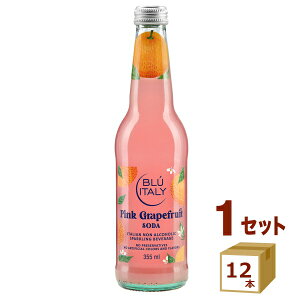 󂠂 ݌ɑؗî AJ u[C^[ sNO[vt[c\[_ r 355ml×12{ yꕔn͏z@mAR[ Y_ W[X ܖ2026N920 Y