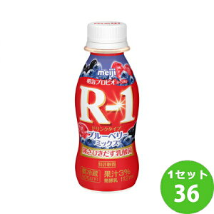 (`h) vrI[Og R-1 A[ hN^Cv u[x[~bNX 112 g×36{ yꕔn͏zy`hZ^[蒼Esz   
