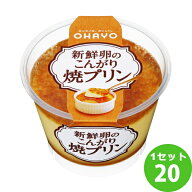 オハヨー乳業チルド 新鮮卵のこんがり焼プリン 140g×20個 食品【送料無料※一部地域は除く】【チルドセ…