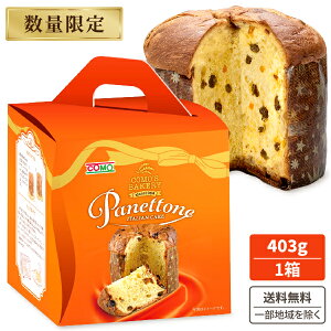 \ 2025N1219oח\ R plg[l ~h 403g×1yꕔn͏z NX}X Rp P[L AhxgP[L plg[l@Ns XC[c Panettone  