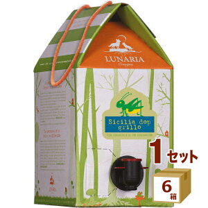 i[A V`A Ob C Rh i`[C ob^ BIB C 3L 3000ml×6yꕔn͏z eʃC Rh B[KF rIfBi~ Je