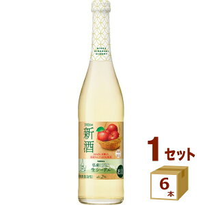 y200~N[|&SiP5{z 󂠂 ݌ɑؗî ATq jbJOO V[h 2024N V 500ml×6{yꕔn͏zь S Xp[NO  