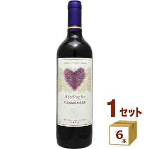 �A �t�B�[�����O �t�H�[ �J�����l�[�� 750ml×6�{ �ԃ��C�� �`���y�����������ꕔ�n��͏����z �o�����^�C�� �n�[�g �M�t�g ������ �� ���킢��