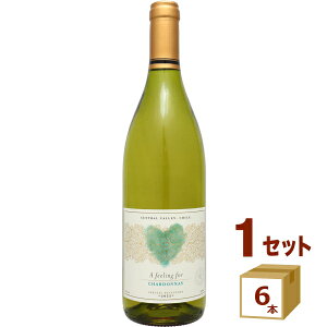A tB[O tH[ Vhl 750ml×6{ C `yꕔn͏z o^C n[g Mtg   킢