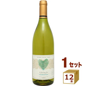 A tB[O tH[ Vhl 750ml×12{ C `yꕔn͏z o^C n[g Mtg   킢