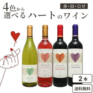 4色から 2本 選べる ハートラベルのワイン 750ml×2本 赤 白 ロゼ チリ ア フィーリング フォー【送料無料※一部地域は除く】 バレンタイン ハート ギフト 推し活 赤 ピンク 緑 紫 かわいい ホワ