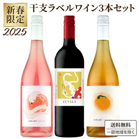 訳あり 季節商品のため 干支 ワイン 飲み比べ 新春 セット 750ml×3本 ワビサビ ロゼ ナンバー1巳年 wabisabi rose nr#1 自然派 新年 2025年 オーストリア ワイン 巳年 オレンジワイン 赤ワイン 年末年始 ヘビ お酒 南アフリカ 手土産　蛇　ナチュール