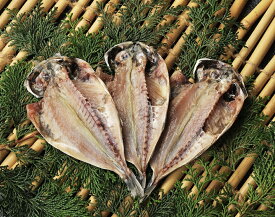 楽天市場 干物 とろあじの通販