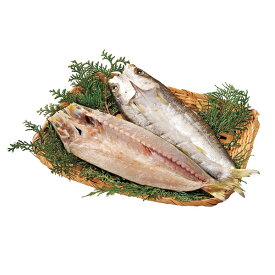 楽天市場 カマス その他水産物 魚介類 水産加工品 食品の通販