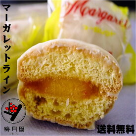 ポイント10倍 【送料無料】マーガレットライン10個入 楽天スパーSALE ギフト 心づかい 手土産 御礼 御挨拶 粗品 お使い物 贈答 進物 お返し 内祝い 祝儀 引き出物 結婚祝い 出産祝い 引き菓子 快気祝い お土産 お取り寄せ