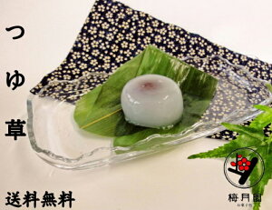 yz䑐10 yⓀz }\ \ ܂񂶂イ Mtg SÂ yY  䈥 Aei g i i XC[c aَq ܂񂶂イ Č V 
