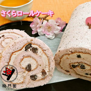 yz 烍[12cm1{(ĕ) yⓀzyVX[p[SALE  N[ [̎q t Yĕ [P[L N[ [P[L Mtg v[