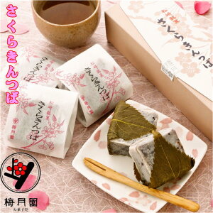 yoz炫1 yVX[p[SALE Mtg ÂЂ kCY  aXC[c 肫 aَq v[g   Lco r 悤 