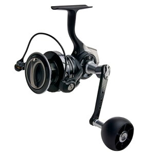 AbuGarcia (�A�u�K���V�A) Roxani SP 4000SH ���L�T�[�j �X�s�j���O���[�� 24�N���f��