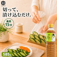 【 お試し 】 ぬか漬けのたれ 585g かき混ぜ不要 ぬか漬け お漬物 簡単 たれ 時短 手軽 ぬか漬けの素 漬…