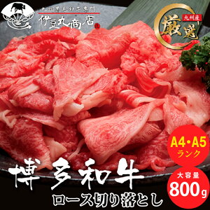 a [X ؂藎Ƃ 800g A4 A5N Ă Ԃ a јa Y ōi ґ Ⴊ  Mtg 蕨 v[g 