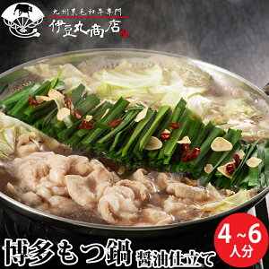  Zbg ݖ 傤d 4`6lO 600g  Y lC  Ε Mtg 蕨 j j z