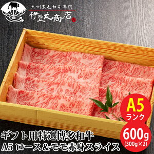 Mtgp I a A5 [X & ԐgXCX 600g (300g×2) Mtg 蕨 v[g Ε