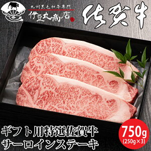 Mtgp I ꋍT[CXe[L 750g (250g×3) Mtg 蕨 v[g Ε