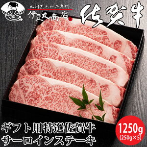 Mtgp I ꋍT[CXe[L1250g(250g×5) 蕨 v[g Ε