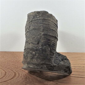 sh047 異常巻アンモナイト　標本//アンモナイト・化石・インテリア・国産・北海道・自由研究・学習・教材