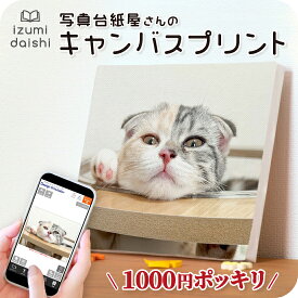 ＼ 1000円ポッキリ ／ 猫 キャンバスプリント フォト 写真 パネル オーダー 印刷 ペット ねこ cat 子猫 愛猫 オーダー うちの子 ノーブランド品 おしゃれ かわいい メモリアル 仏具 アート ファブリックパネル インテリア 送料無料 イズミダイシ ギフト プレゼント お祝い