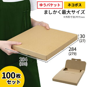 �_���{�[�� �� 100�� �i�{�[�� �䂤�p�P�b�g �l�R�|�X �Ή� 284×284×30 �����` 3cm �����p ��� �|�X�g���� ����� �t�H�g�p�l�� �L�����o�X �F�� �A���o�� ���R�[�h�W���P�b�g �������� �C