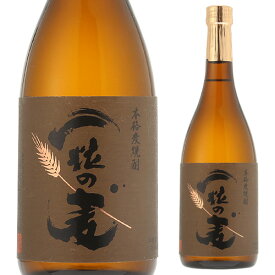 焼酎 麦焼酎 一粒の麦 25度 720ml 鹿児島県 西酒造むぎ焼酎 宝山 全量麦 麦麹 4合　