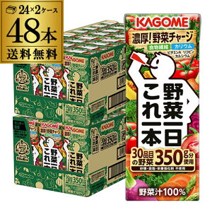 【10/24〜25限定 全品P3倍】カゴメ 野菜一日これ一本 200ml 48本 送料無料 2ケース 紙パック 野菜ジュース 長S