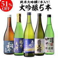 【3/10限定 全品P3倍】日本酒 ギフト 51%OFF！純米大吟醸入 大吟醸 720ml 5本 飲み比べセット 長S半額 4…