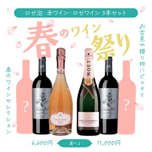 `t̃CՂ` 6,600~ or 11,000~ IׂI [A ԃC [C 3{Zbg ݔ Mtgɂ Vp Xp[NO [ G t@q 