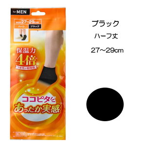 y݌ɂ܂N2zY RRs^  n[t ubN 25`27cm / 27`29cm j[A ۉ4{ ܐ2w\ ܐۉ ɒg ӂ 炩 zM ۉ z