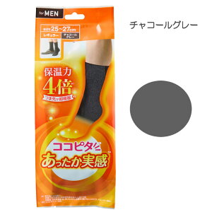 y݌ɂ܂N2zY RRs^  M[ O[/`R[O[/ubN 25`27cm / 27`29cm j[A ۉ4{ ܐ2w\ ܐۉ ɒg ӂ 