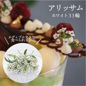 生花 エディブルフラワー アリッサム ホワイト 33輪 食用花 白 デコレーション トッピング 製菓材料 ケーキ スイーツ 国産 クリスマス 焼き菓子 プレゼント ギフト お菓子作り クッキー缶 アイシングクッキー ウエディングケーキ