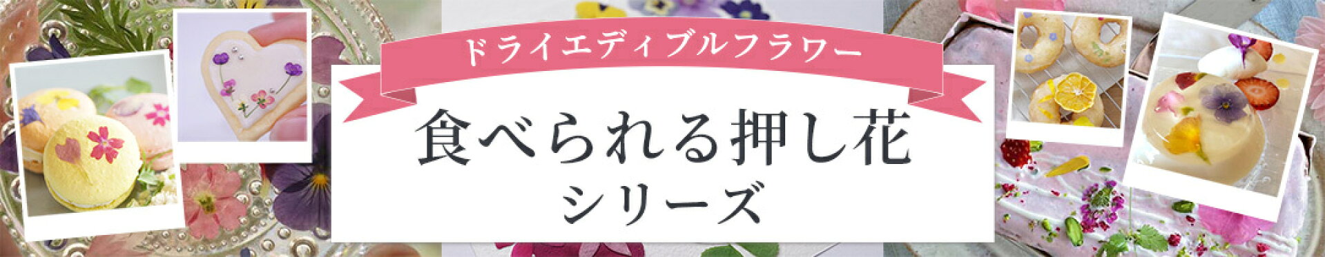 ドライ大バナー