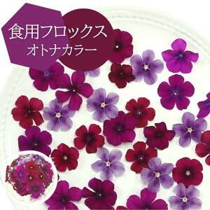 yViz GfBut[ tbNX ƂȃJ[MIX 35 Hp fR[V J[gbsO ٍޗ P[L XC[c Y NX}X Ăَq v[g Mtg 