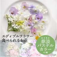 生花 エディブルフラワー【春淡カラー ミックス】 40輪 食用花 デコレーション トッピング 製菓材料 ケー…