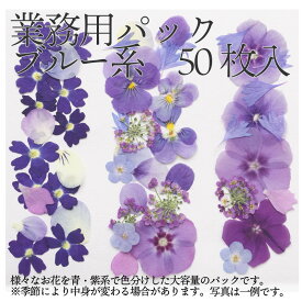 エディブルフラワー IZUMIYAMASAKI 業務用ブルーミックス 食用 乾燥押し花 50枚 自然栽培