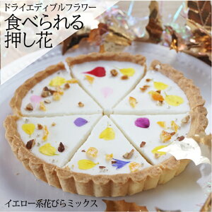 hC GfBut[ HpԁyԂтCG[~bNXz  50 fR[V gbsO ٍޗ P[L XC[c ACVONbL[ }J Y NX}