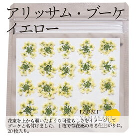 エディブルフラワー IZUMIYAMASAKI 押し花 ブーケ イエロー 食用 乾燥押し花 20枚 自然栽培
