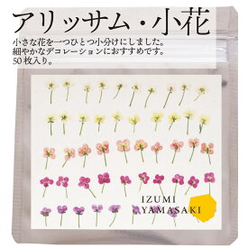 エディブルフラワー IZUMIYAMASAKI アリッサム 小花 カラーミックス 食用 乾燥押し花 50枚 自然栽培