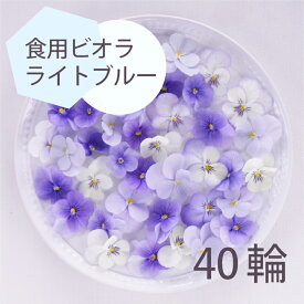 エディブルフラワー ビオラ ライトブルー 40輪 食用花 デコレーション 推しカラートッピング 製菓材料 ケーキ スイーツ 国産 クリスマス 焼き菓子 プレゼント ギフト お菓子作り クッキー缶 アイシングクッキー ウエディングケーキ