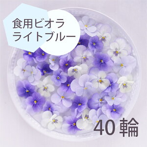 GfBut[ rI Cgu[ 40 Hp fR[V J[gbsO ٍޗ P[L XC[c Y NX}X Ăَq v[g Mtg َq NbL[ 