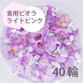エディブルフラワー ビオラ ライトピンク 40輪 食用花 デコレーション 推しカラートッピング 製菓材料 ケーキ スイーツ 国産 クリスマス 焼き菓子 プレゼント ギフト お菓子作り クッキー缶 アイシングクッキー ウエディングケーキ